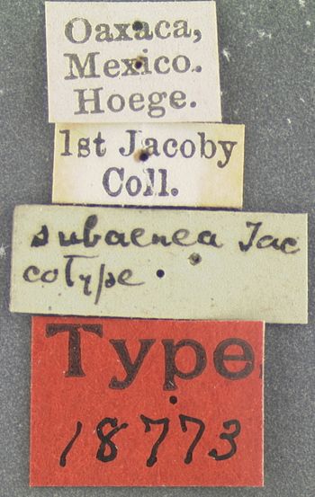 Media type: image; Entomology 18773   Aspect: labels